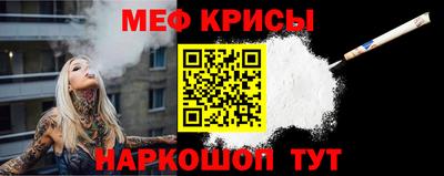 прущие грибы Сланцы