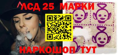 прущие грибы Сланцы