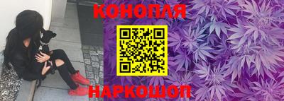 прущие грибы Сланцы