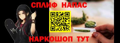 прущие грибы Сланцы