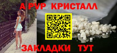прущие грибы Сланцы