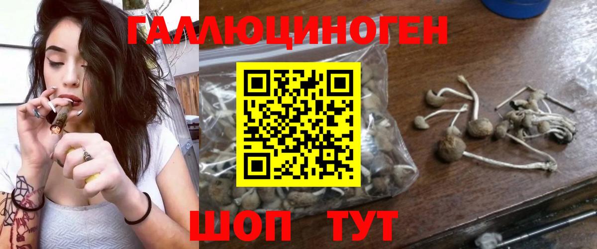 Псилоцибиновые грибы GOLDEN TEACHER  Вход с VPN  Северобайкальск 