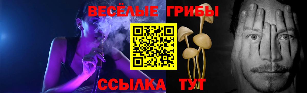 Псилоцибиновые грибы прущие грибы Северобайкальск
